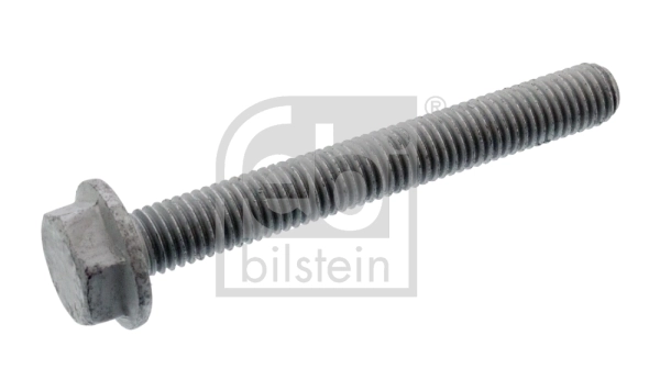 Screw, pressure plate